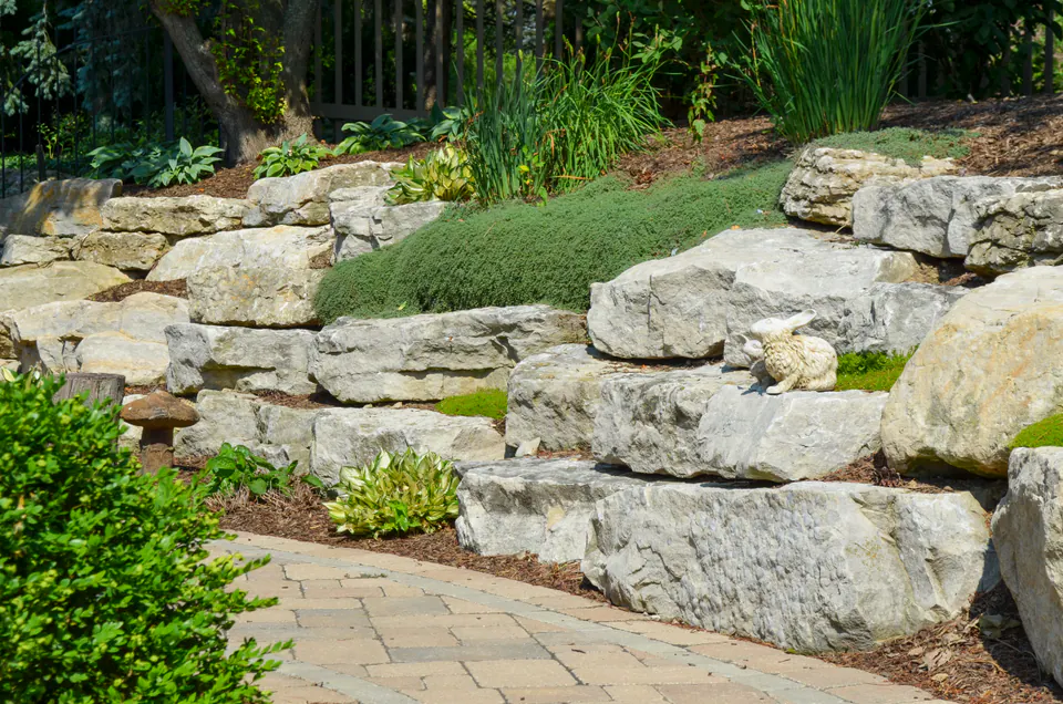 Natural limestone boulder wall with groundcover, hosta, ornamental grasses, and a paver walk